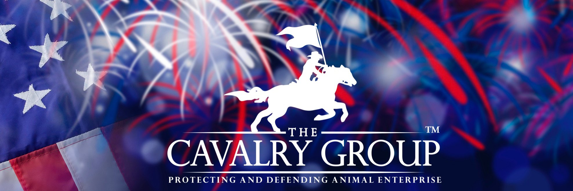 The Cavalry Group banner
