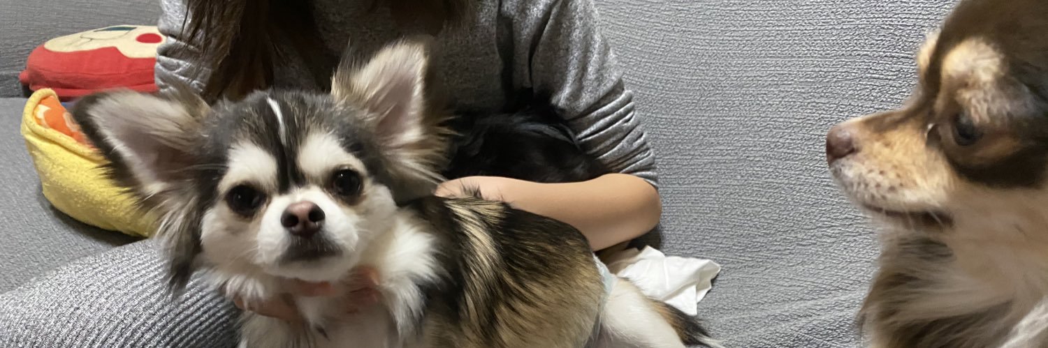 joutoukumin2's profile banner image