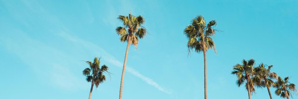 katidias Profile Banner