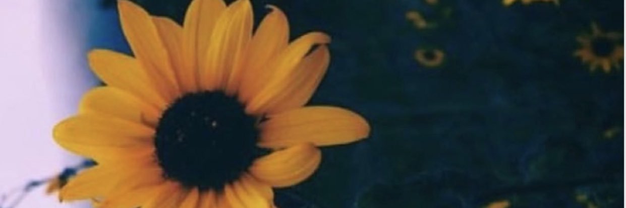 iittyBitty_Ash's profile banner image