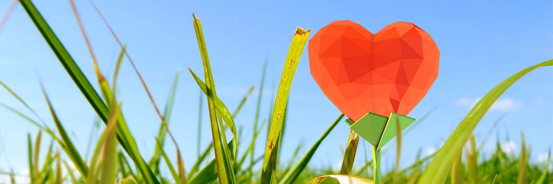 GreenSocksAU's profile banner image