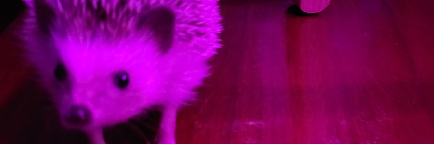 Andreratesyou's profile banner image