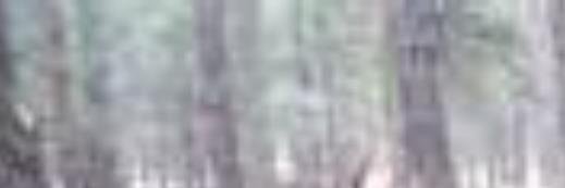 MdMize's profile banner image
