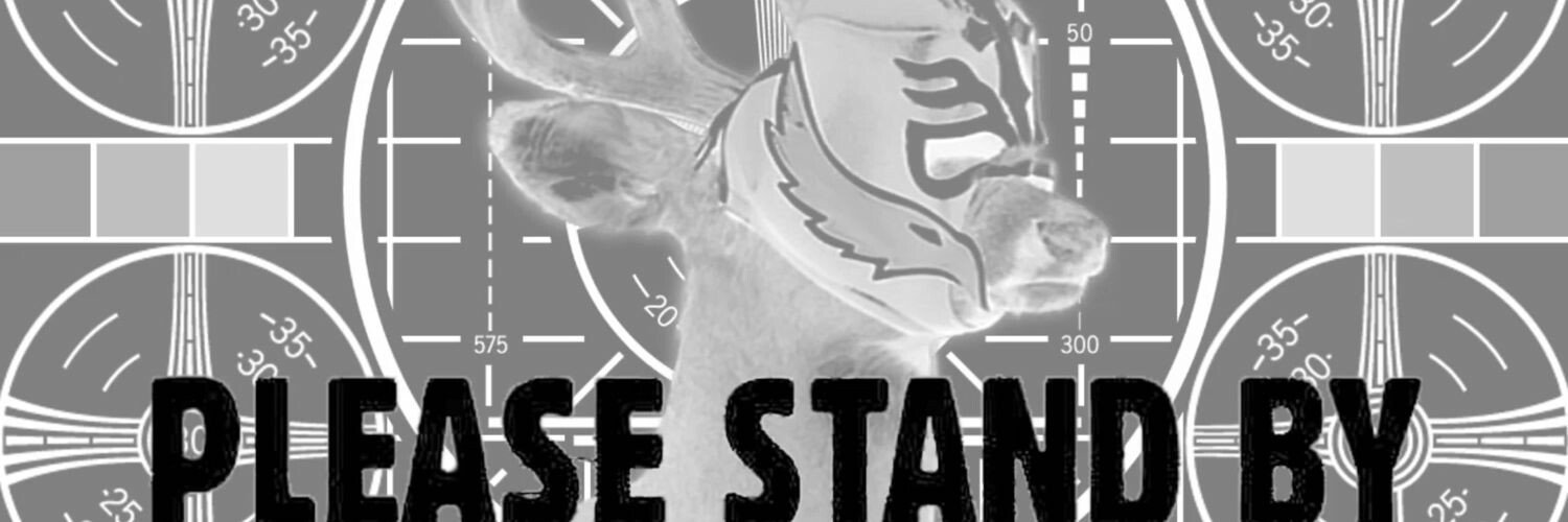 Rachel_Destross's profile banner image