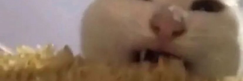 h0ellokitty's profile banner image