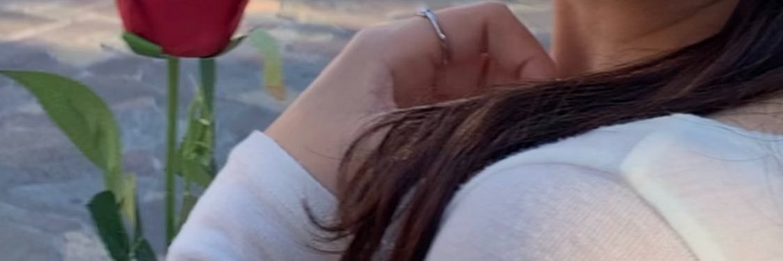 27_petesan's profile banner image