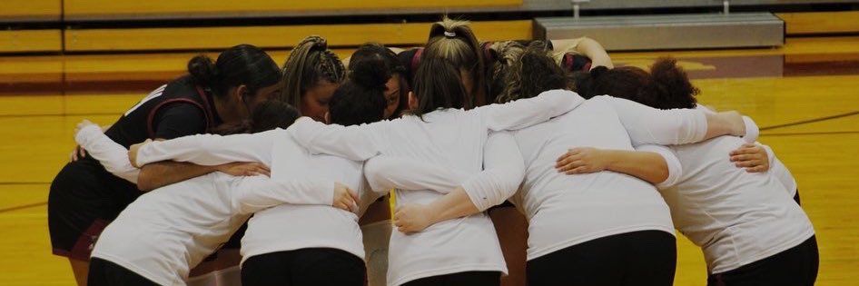 ElmiraExpressWBball banner