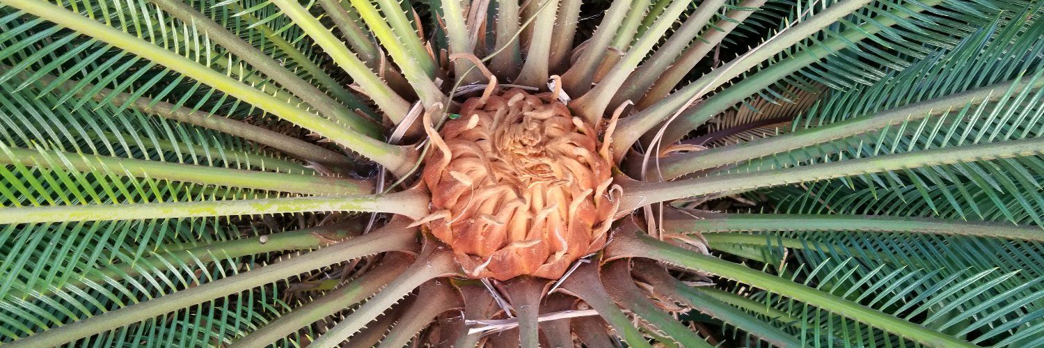 Bobby McKernie banner