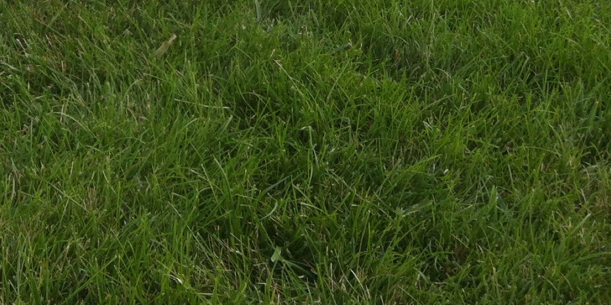 Ciriopicks's profile banner image