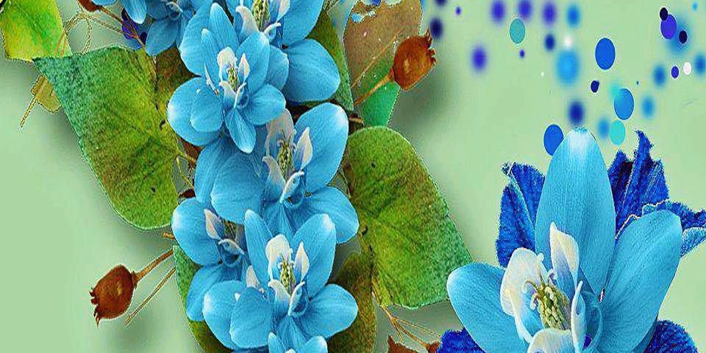 NoahsBlueRose's profile banner image