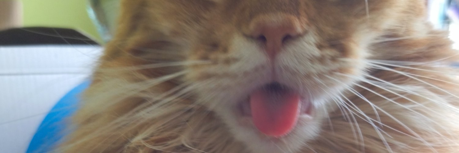 BSogne's profile banner image