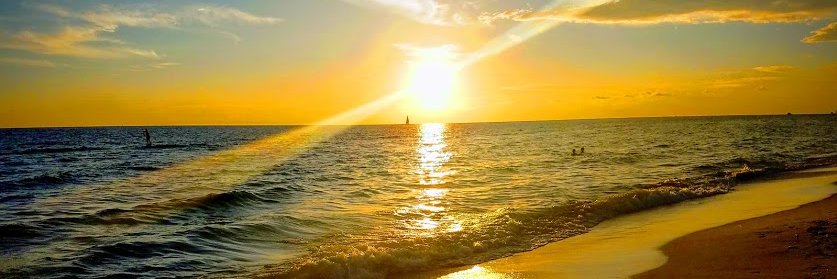 chellfox45's profile banner image
