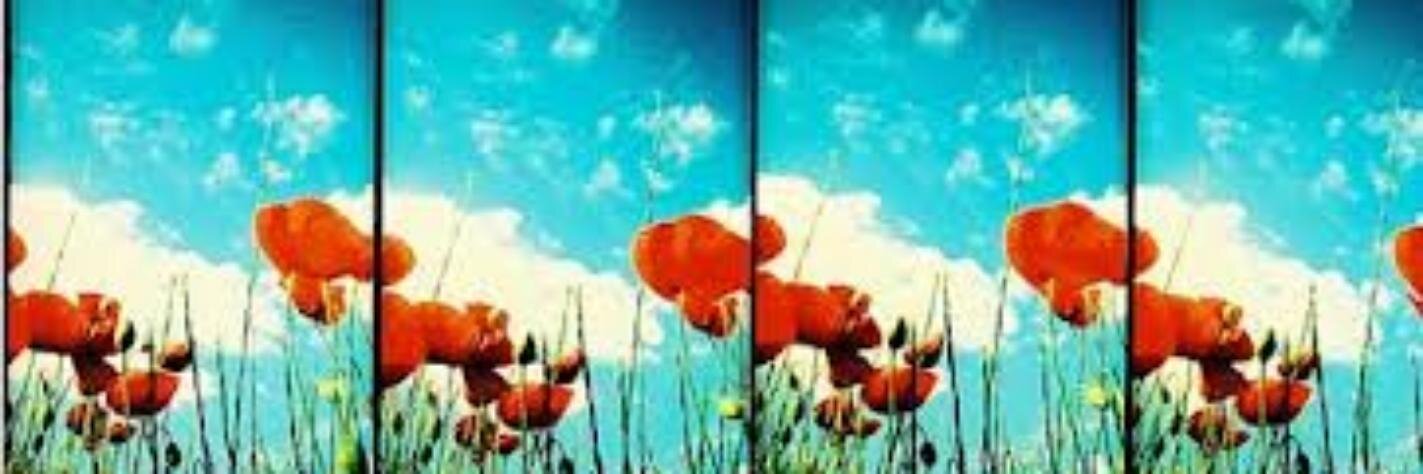mire_bel's profile banner image