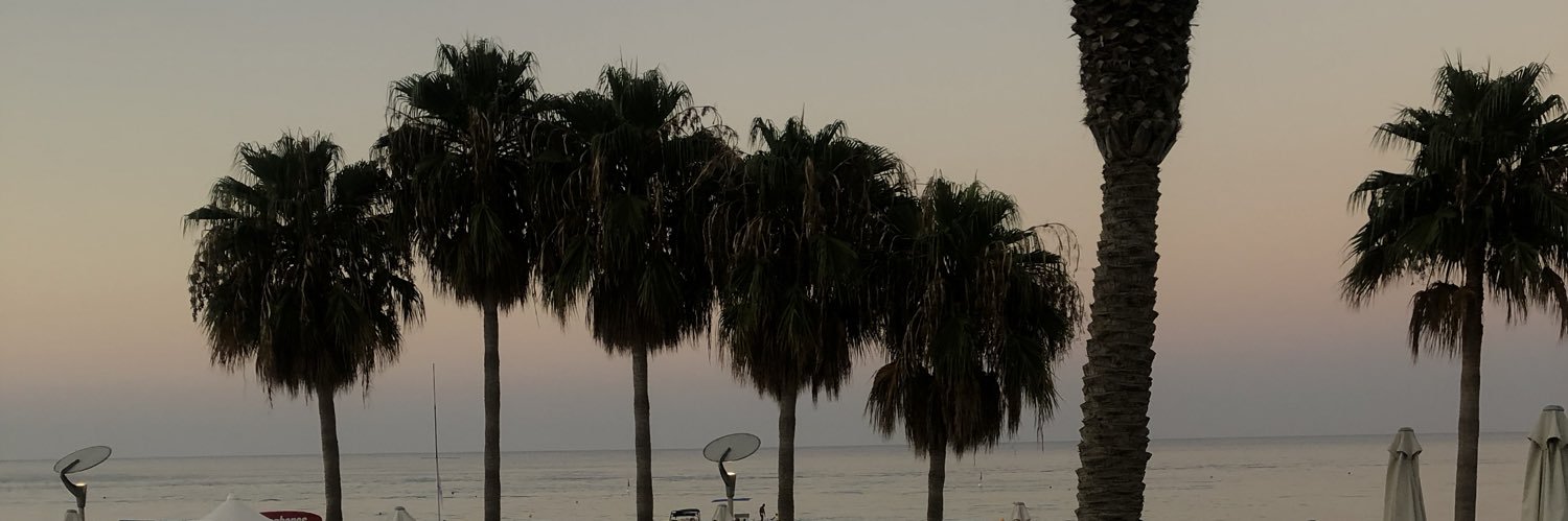 joy_behan's profile banner image