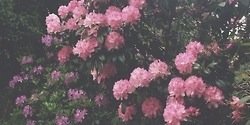 RitaRPGSSM's profile banner image