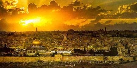 EternaPalestine's profile banner image