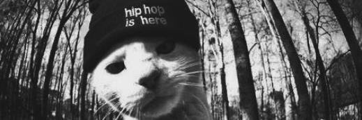 RapMonster_sf's profile banner image
