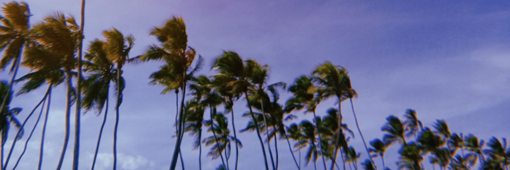 𝙙𝙤𝙪𝙜 ッ banner