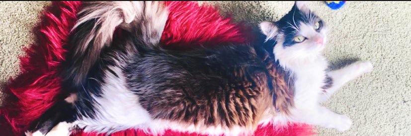 itsheeavenn's profile banner image