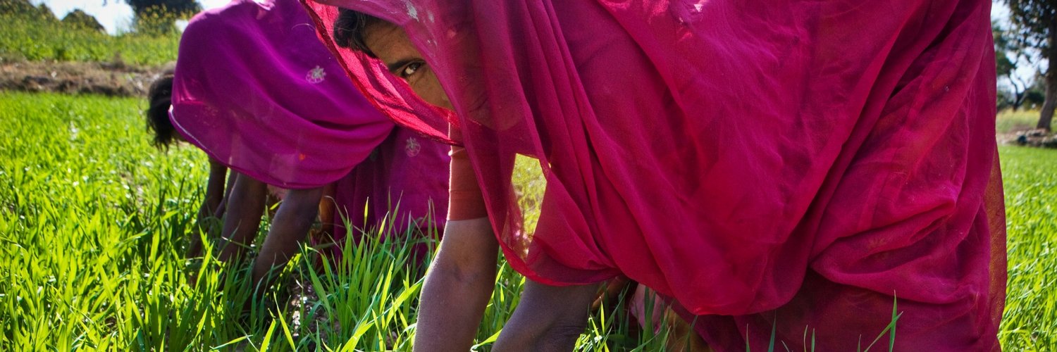 wellsforindia's profile banner image