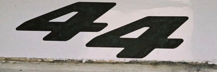 suzy banner