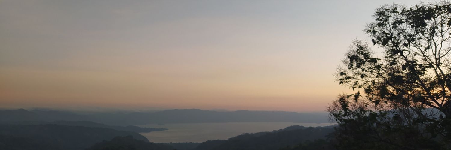 Francisco J. Castellanos banner