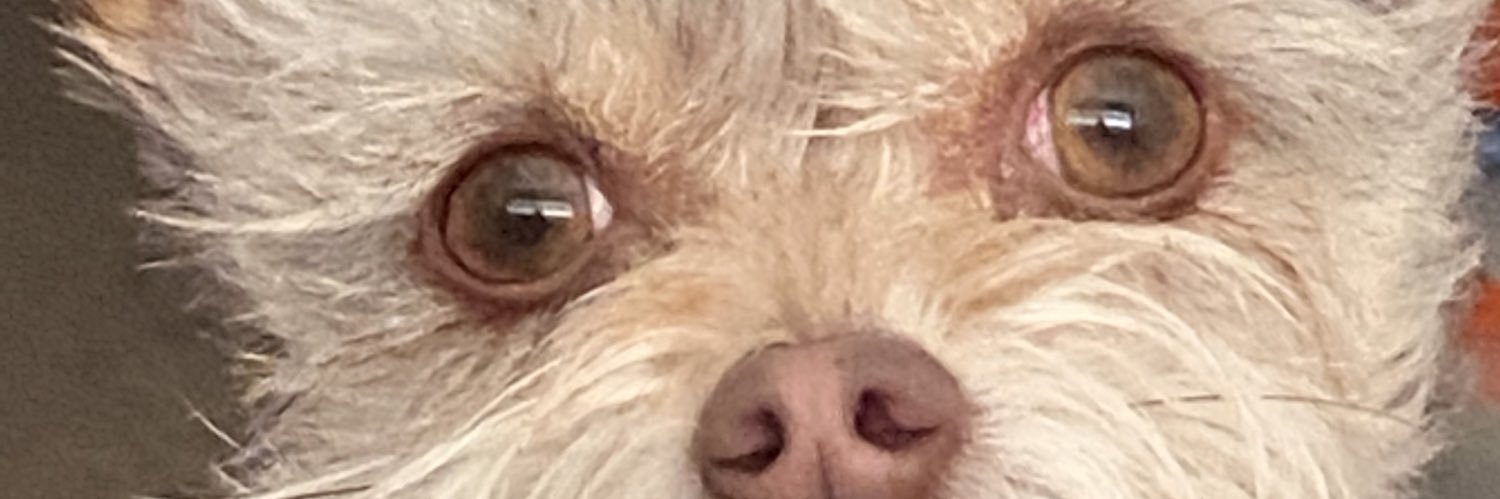 beezway95's profile banner image