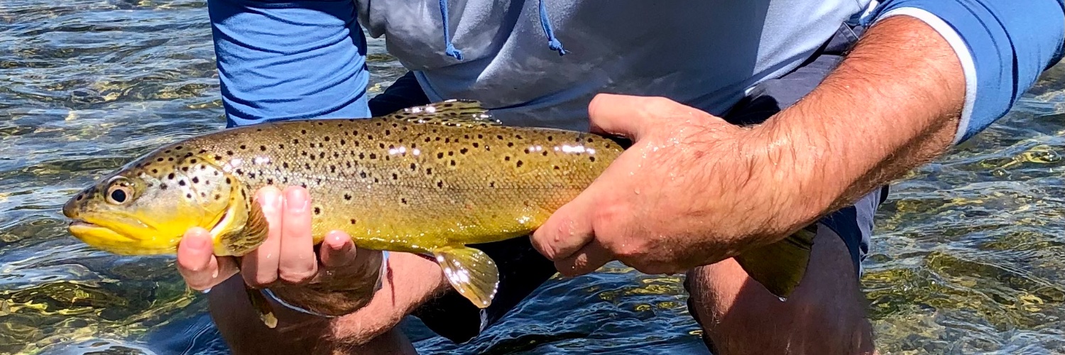 Fishinwizard's profile banner image