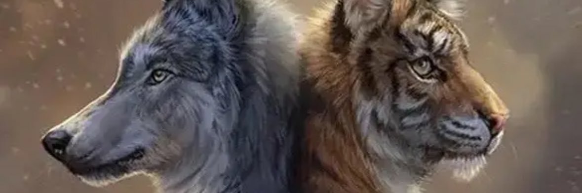 nicthefish7's profile banner image