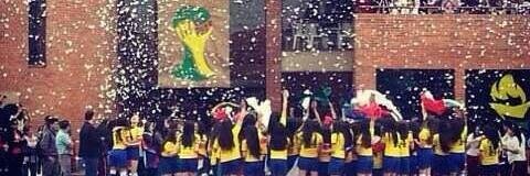 OnceCe11c's profile banner image