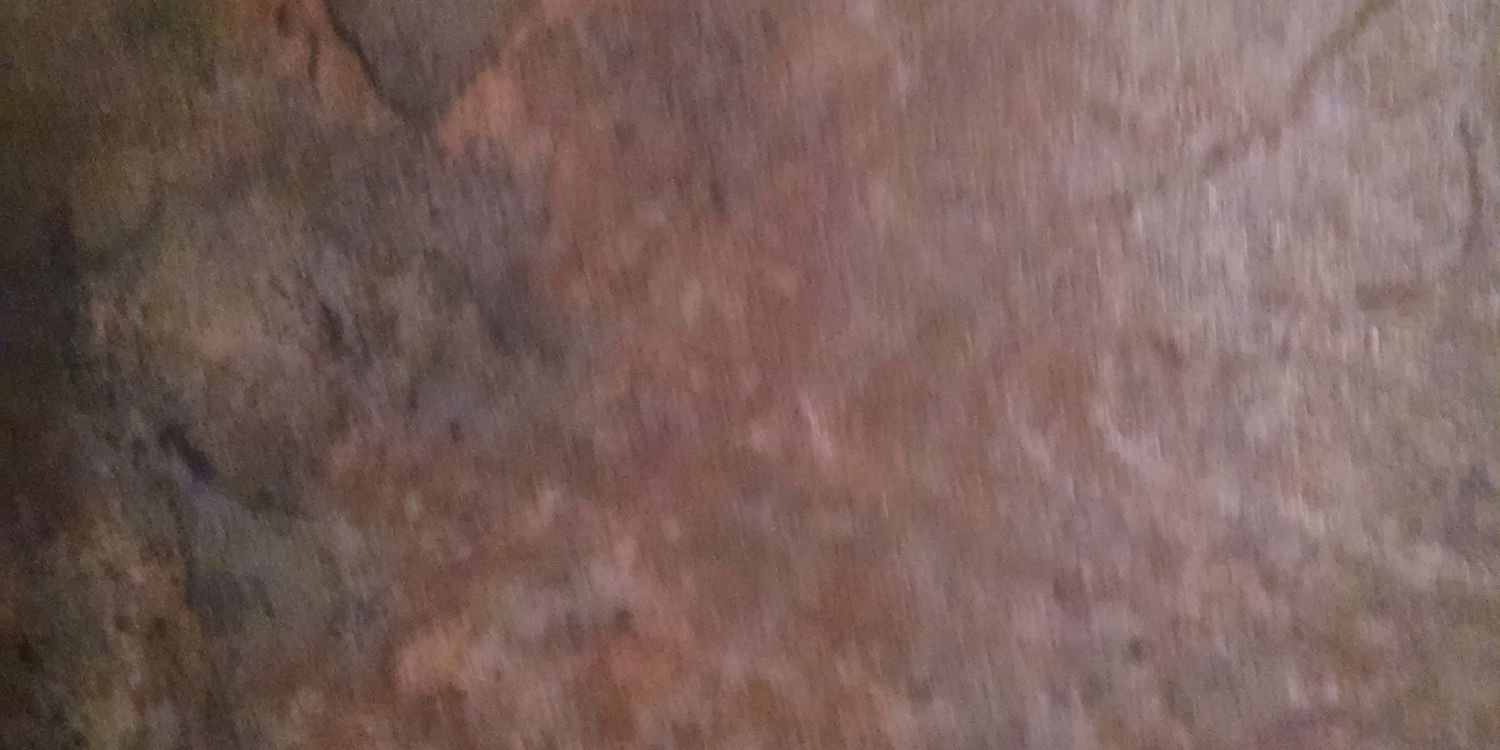 Ann banner