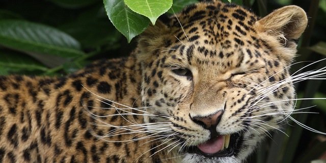 alotasleep's profile banner image