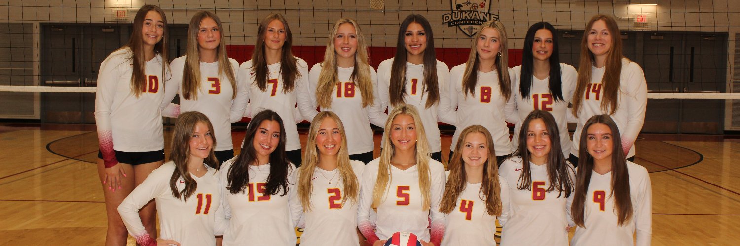 Batavia Volleyball banner