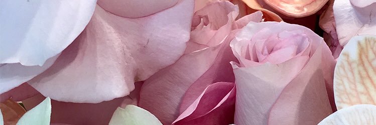 _sqwen's profile banner image