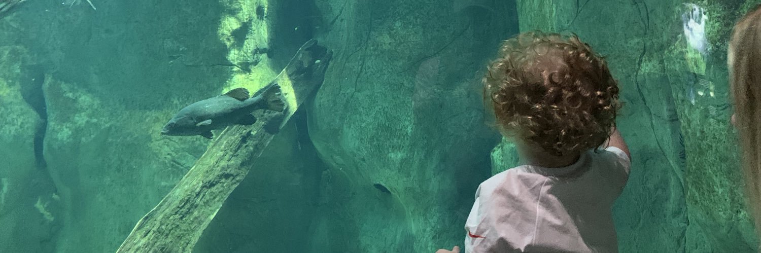 jcbrooks10's profile banner image
