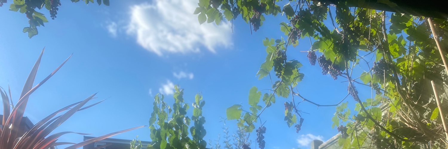 benbenbendaben's profile banner image