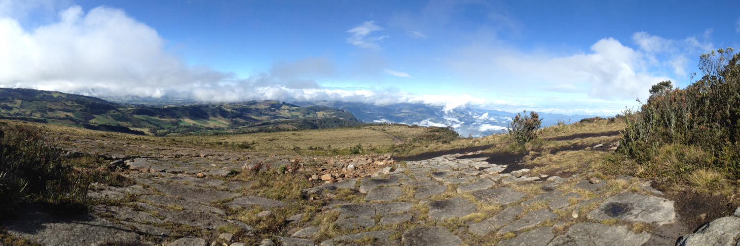 Francis Pardo banner