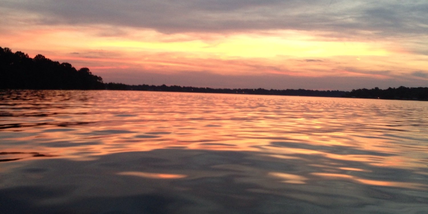 sheena_weldon's profile banner image