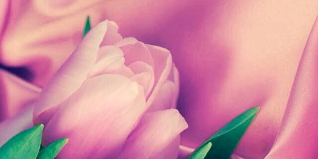 noan_ma's profile banner image