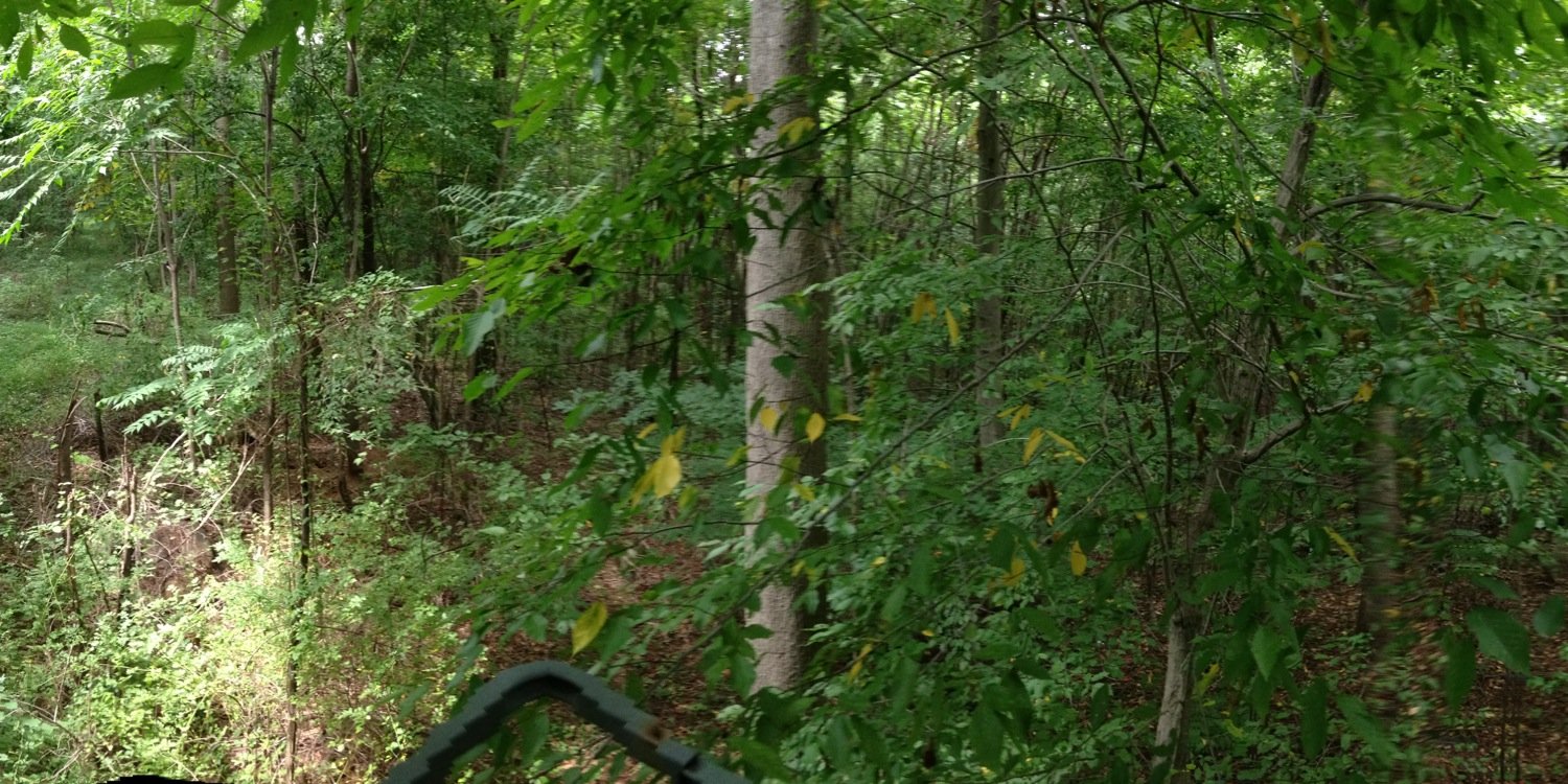 reedmartin29's profile banner image