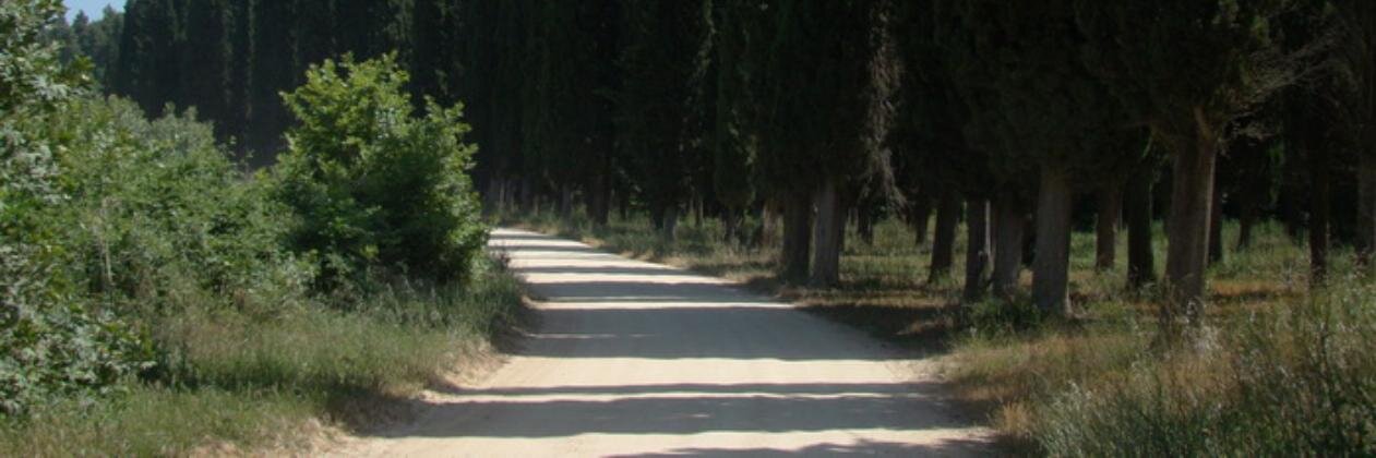 marnik narchel banner