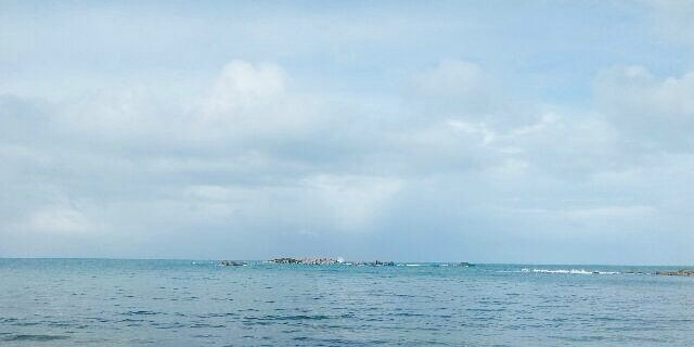 GenevieveHaese banner