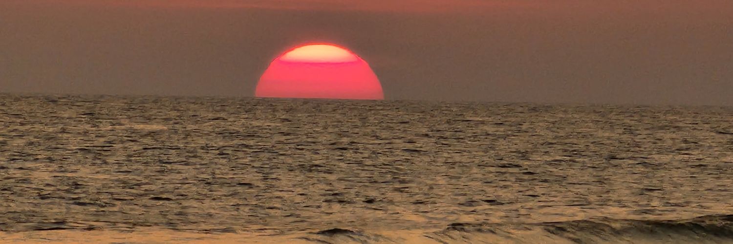 colocalol's profile banner image