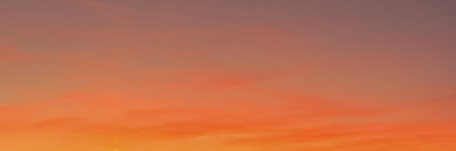 swallowyourfeel's profile banner image