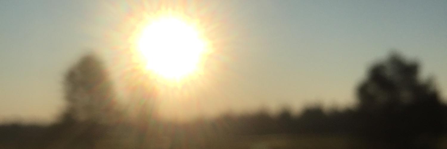 corrie_bellamy's profile banner image