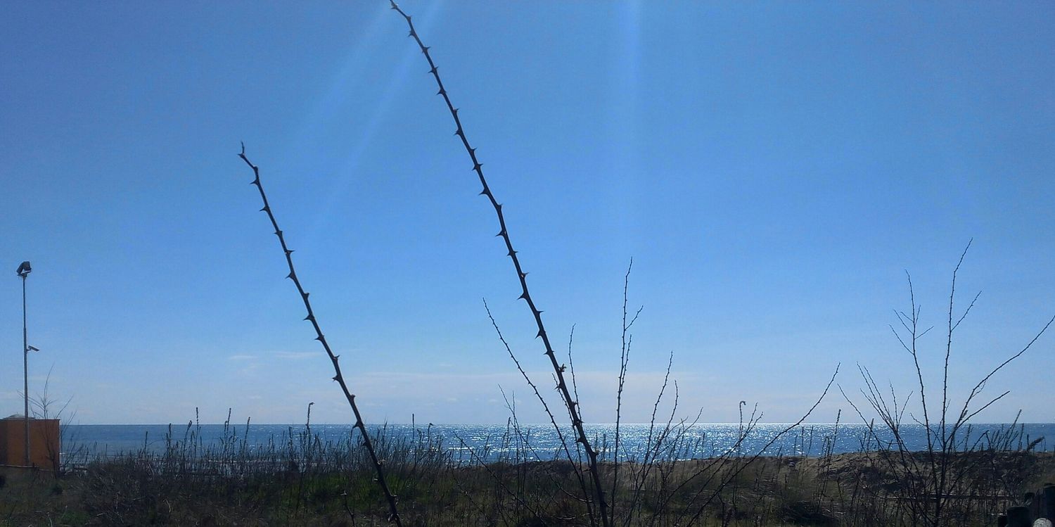 martinarosada's profile banner image