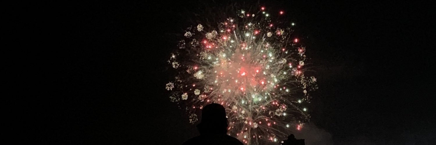 Danielle Simoneau 🇺🇦 🌻 banner