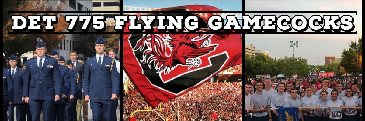 Det775Gamecocks's profile banner image
