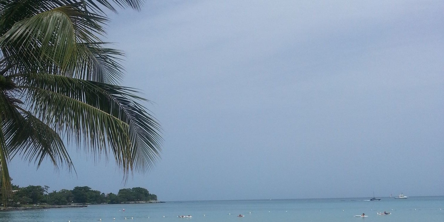 Amanda Bockelman banner