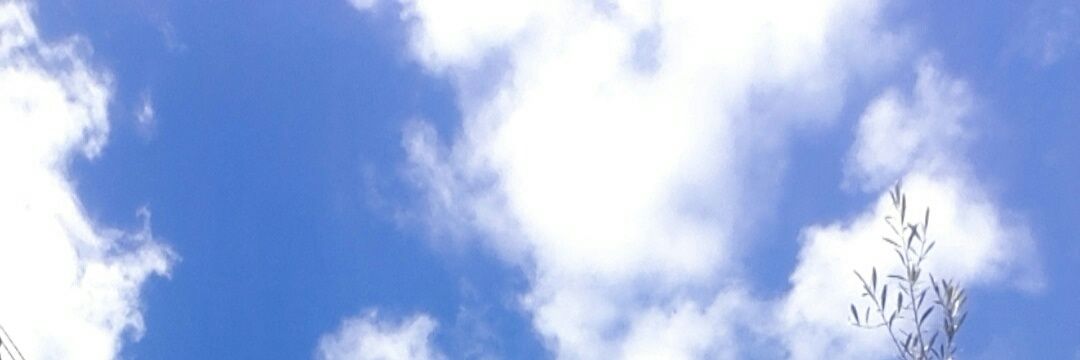 Fadwa 💛 banner
